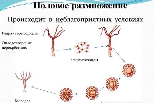 Кракен даркнет маркет плейс