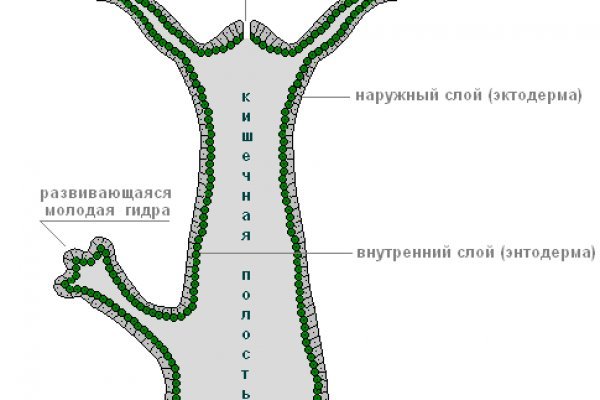 Кракен не приходят деньги