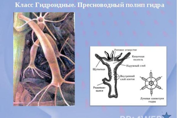 Кракен маркет даркнет тор