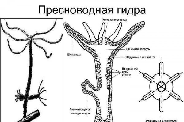 Кракен даркет