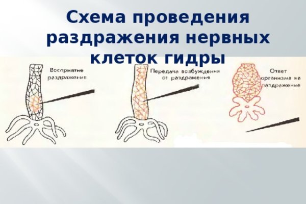 Kraken сайт kraken torion